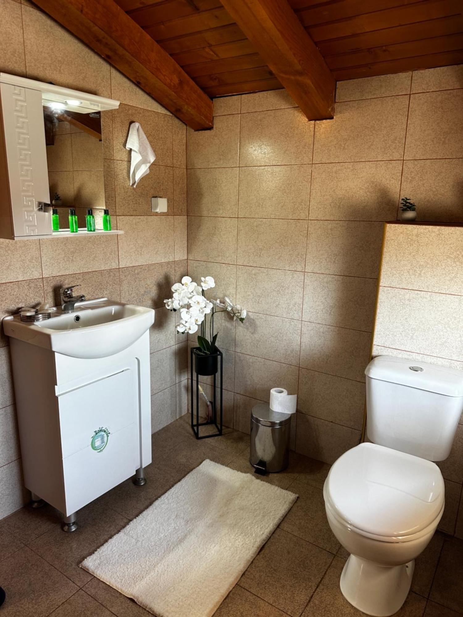 Snow House Hotel Bansko Bagian luar foto